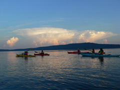 Fitness Paddle